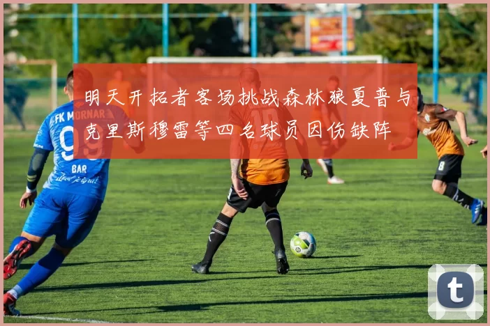 明天开拓者客场挑战森林狼夏普与克里斯穆雷等四名球员因伤缺阵
